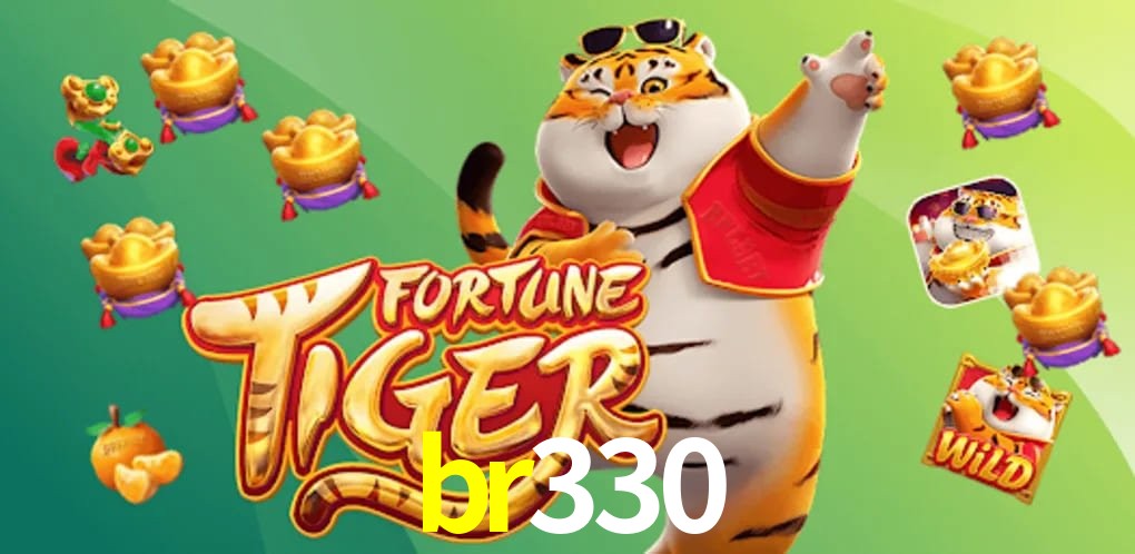 Secure Login br330